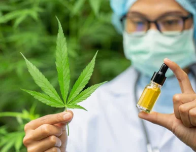 Miniatura: Czy CBD zapobiega koronawirusowi i łagodzi...