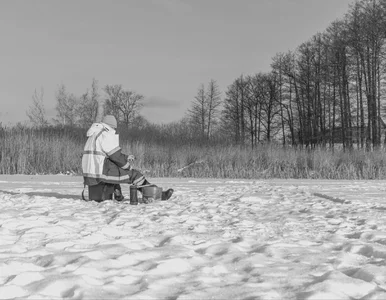 Miniatura: Spokojnie łowił ryby, nagle zjechały się...