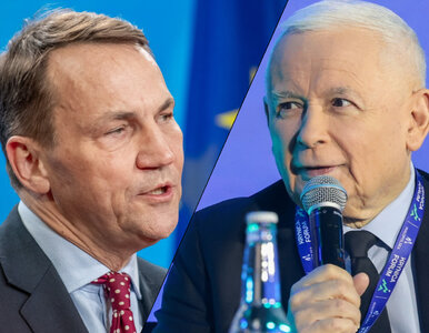 Miniatura: Burza po słowach Kaczyńskiego. Sikorski...