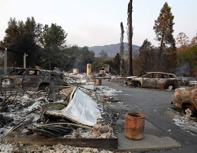Miniatura: Potężne pożary w Kalifornii. 23 ofiary nie...
