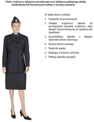 fot. MON/Polska-Zbrojna.pl