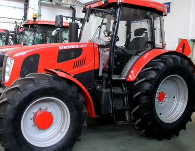 Miniatura: Cena za wielką polską firmę śmiesznie...