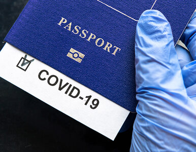 Miniatura: Paszporty odporności szansą na powrót do...