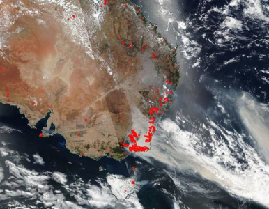 Miniatura: Kuriozalne teorie o pożarach w Australii....