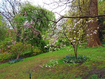 Ogród Botaniczny Uniwersytetu Warszawskiego w Warszawie 