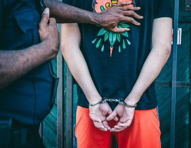 Miniatura: Włoska policja pojmała polskiego oszusta....