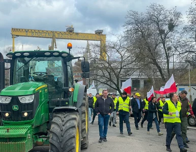 Miniatura: Jak wyglądają sympatie polityczne na wsi?...