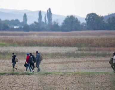 Miniatura: Rodzina z Syrii pozwała Frontex. To może...