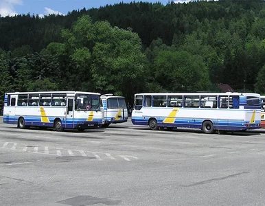 Miniatura: Jak PKS zarzyna sam siebie