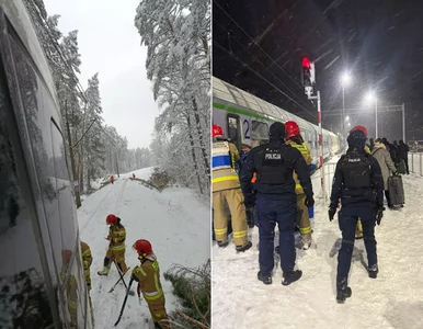 Miniatura: Pociągi nie pojadą tędy do odwołania....