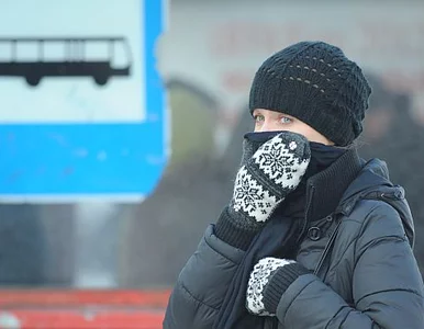 Miniatura: Idą rekordowe mrozy. Będzie nawet minus 35...