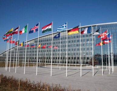 Miniatura: Ministrowie obrony krajów NATO spotkają...
