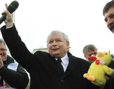 Miniatura: Kaczyński: Polska potrzebuje polskiego rządu