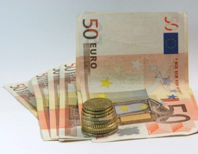Miniatura: "Drukując pieniądze nie uratujemy Europy"