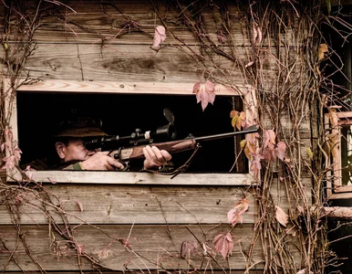 Miniatura: Krwawy biznes w polskich lasach. Strzelają...