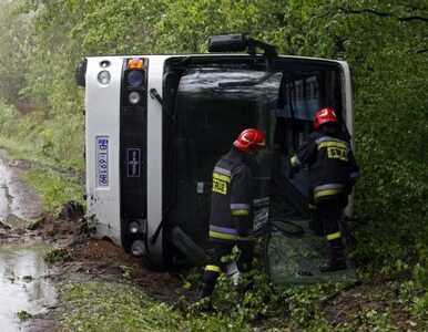 Miniatura: Przewrócił się autobus pełen przedszkolaków