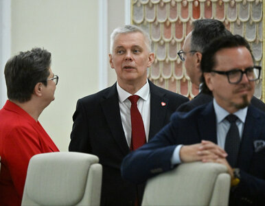 Miniatura: Prezes TK powołał się na ABW i informacje...