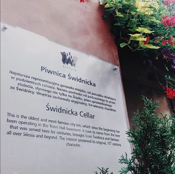 Piwnica Świdnicka 