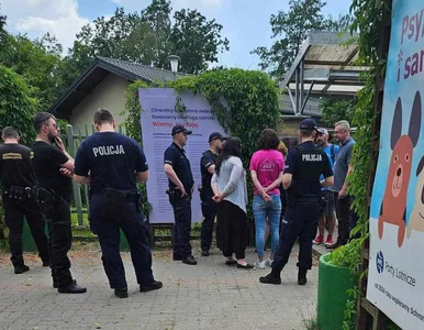 Miniatura: Urzędnicy vs wolontariusze schroniska „na...