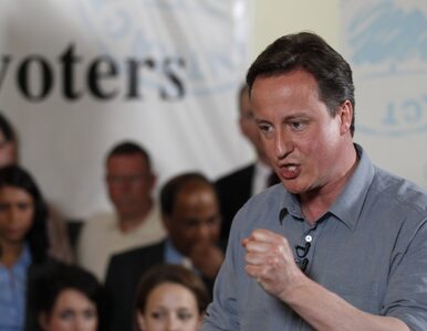 Miniatura: Cameron pyta Brytyjczyków na czym ma...