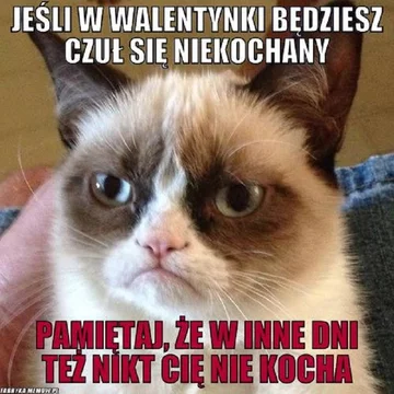 Walentynkowy mem 