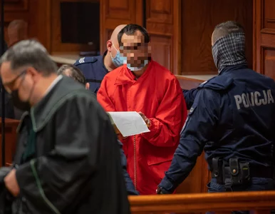 Miniatura: Wyrok ws. „Hannibala z Żoliborza”. Jeden...