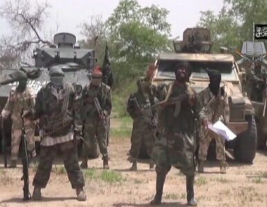 Miniatura: "Uwolnijcie naszych żołnierzy". Boko Haram...