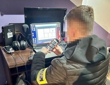 Akcja „Barbossa”. Polscy funkcjonariusze rozbili pedofilską szajkę