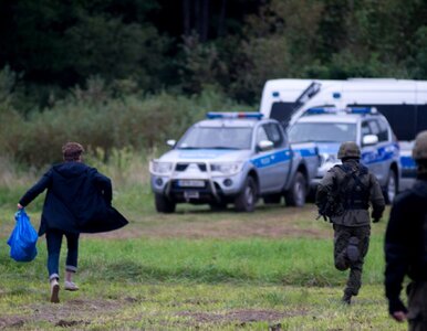 Miniatura: Wiceszef MSZ o Sterczewskim: Nie chcę go...