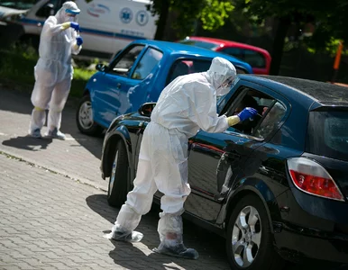 Miniatura: Koronawirus w Polsce. W niedzielę 375...