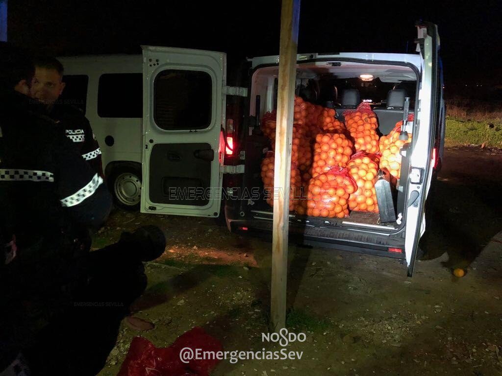 Funkcjonariusze pakują pomarańcze do policyjnego vana 