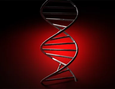 Miniatura: Test na ojcostwo może być przestępstwem