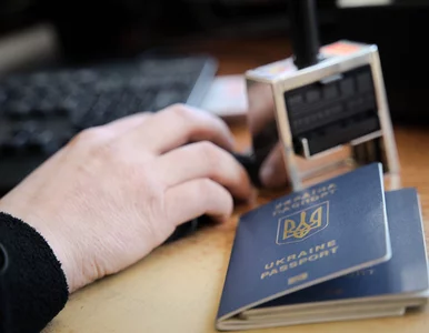 Miniatura: Ilu Ukraińców pracuje w Polsce? Rząd...