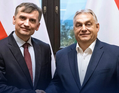 Miniatura: Jak ambasador USA bawi się Polską. Wróbel:...