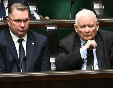 Miniatura: Jarosław Kaczyński znowu trafił?...