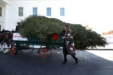 Świąteczna choinka dotarła do Białego Domu. Odebrała ją Melania Trump 