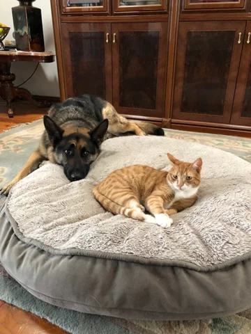 Od razu widać kto tu rządzi 