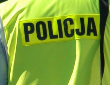 Miniatura: Toruń: policjantka popełniła samobójstwo