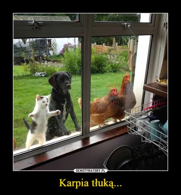 Mem na Wigilię 