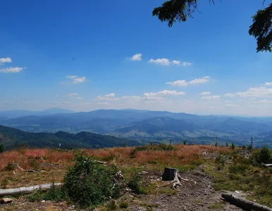 Miniatura: Popularna atrakcja w górach zostanie...