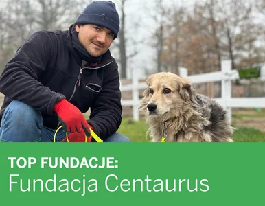 Miniatura: Fundacja Centaurus: chcemy dbać o to, co...