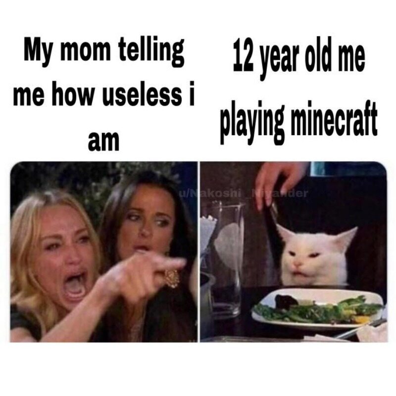 1. Mama, mówiąca mi jak bardzo jestem bezużyteczny 2. 12-letni ja, gający w Minecrafta 