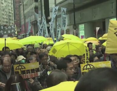 Miniatura: Antyrządowa demonstracja w Hongkongu