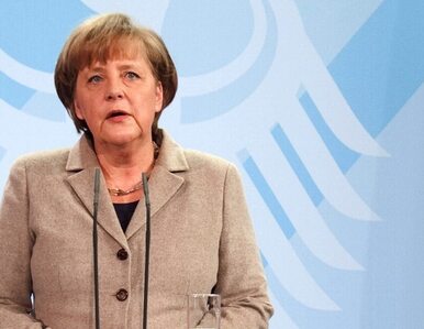 Miniatura: Niemcy szukają prezydenta
