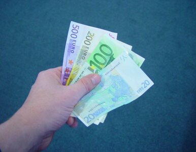Miniatura: Niemcy w 2013 będą zarabiać więcej