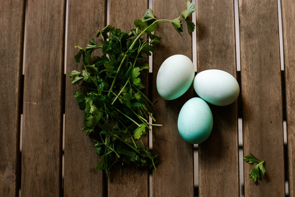 Natka pietruszki nada jajkom wielkanocnym delikatnie zielony kolor Wielkanoc, jajka, kraszanki