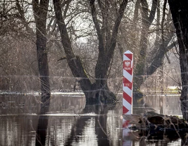 Miniatura: Niespokojnie przy granicy z Białorusią. SG...