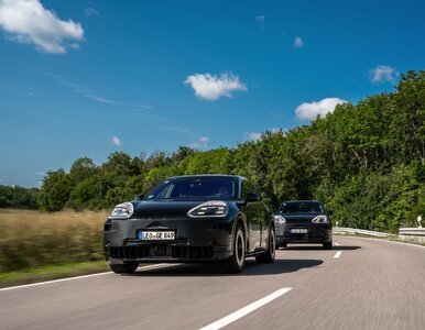 Miniatura: Kamień z serca... Po 2030 roku Porsche...