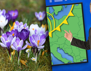 Miniatura: Sensacyjna prognoza pogody. Za rogiem...