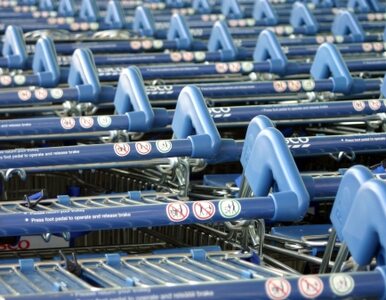 Miniatura: Wal-Mart największą siecią handlową na...